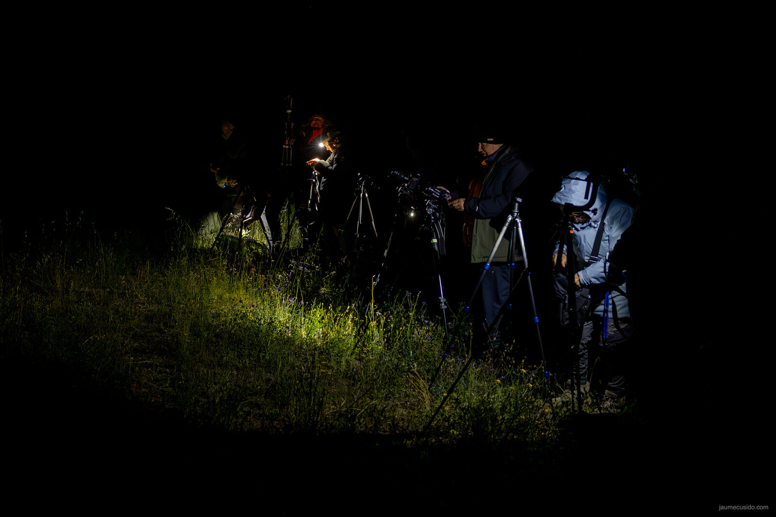 Pràctica nocturna amb llanternes