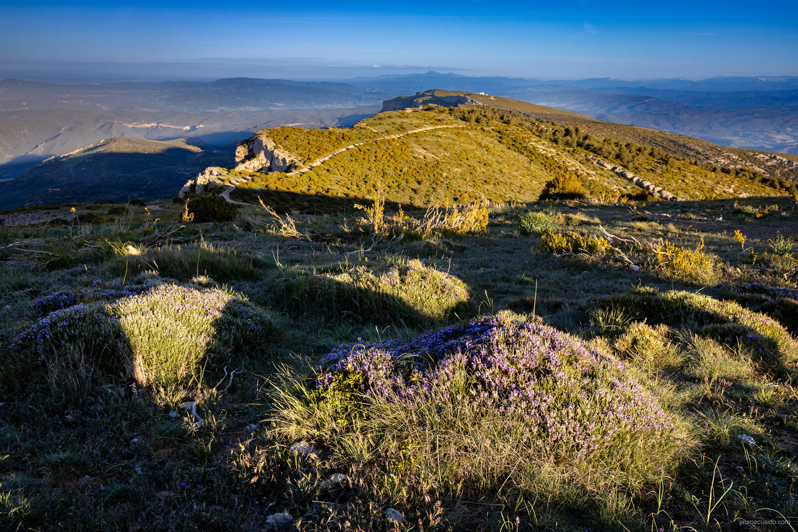 Pedres del cim del Montsec